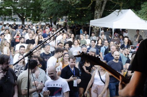 Image of the crowd from one of the two stages